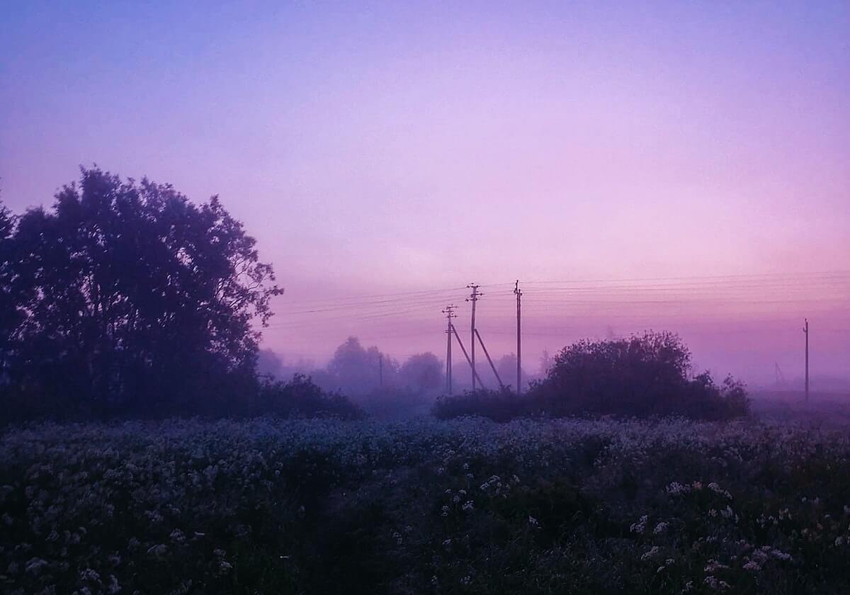 乐鱼app——让娱乐体验无处不在